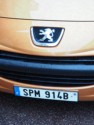 French license plate on a Peugeot